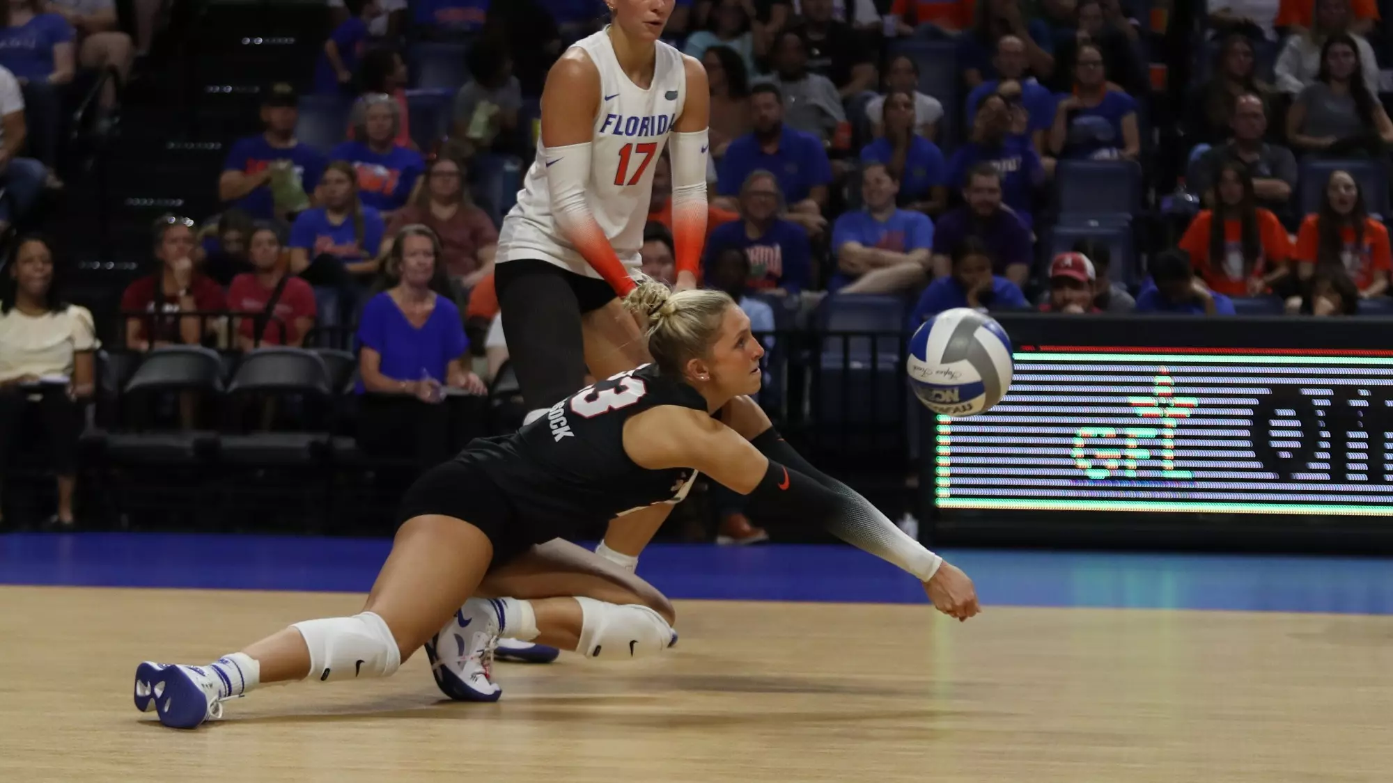 Elli McKissocks Height Revealed: 56 and Rising in Florida Volleyball