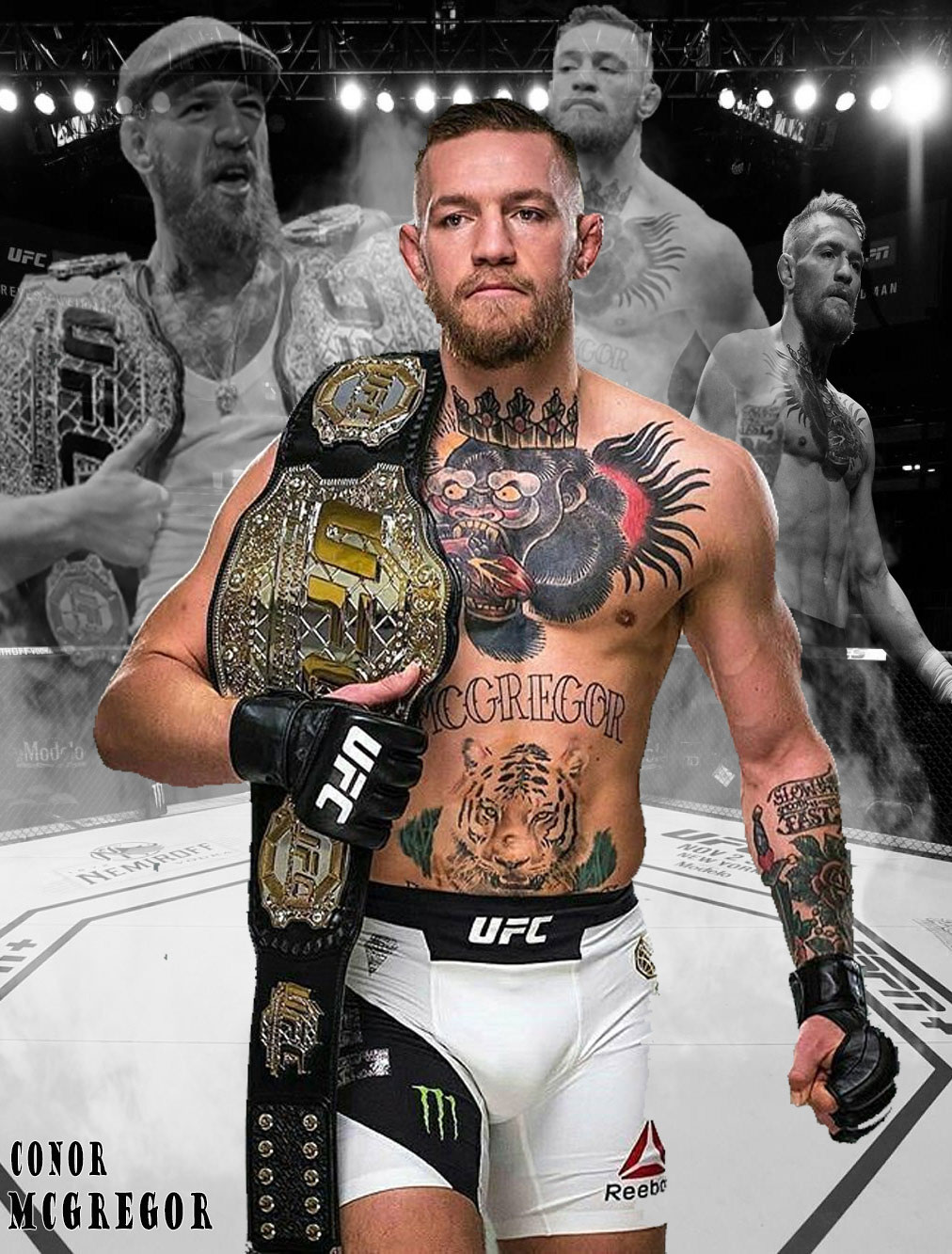 Stunning 4K Conor McGregor Wallpaper Collection for Fans