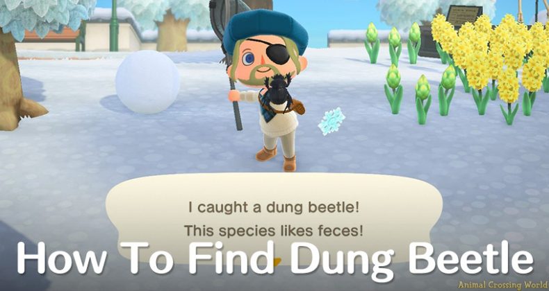 Everything You Need to Know About the Dung Beetle in Animal Crossing