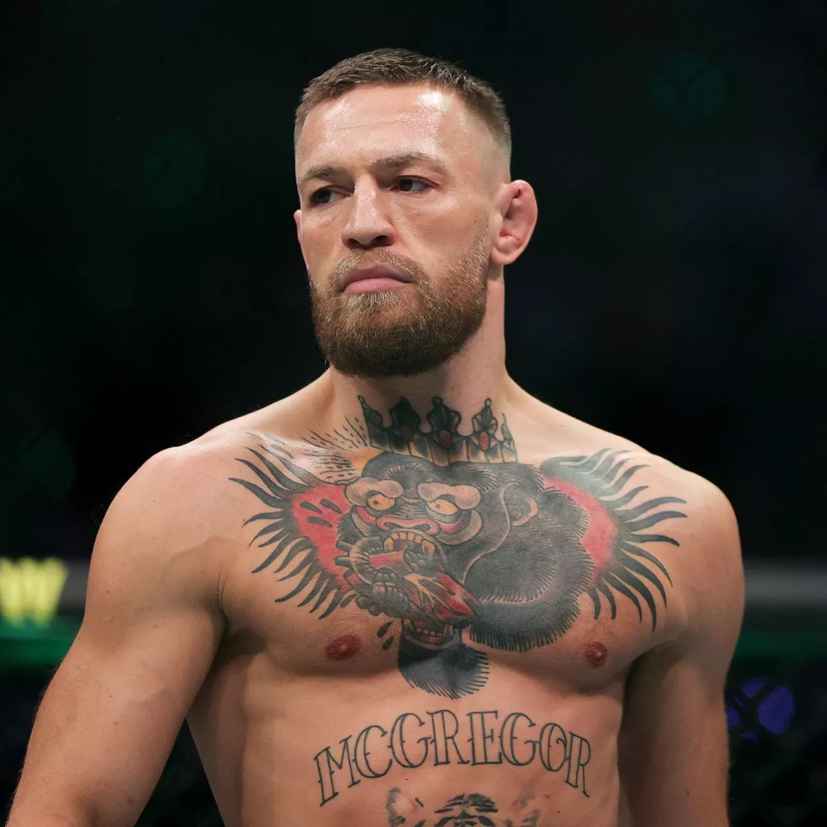 Conor McGregor Tattoos: What His Iconic Ink Reveals About the UFC Star