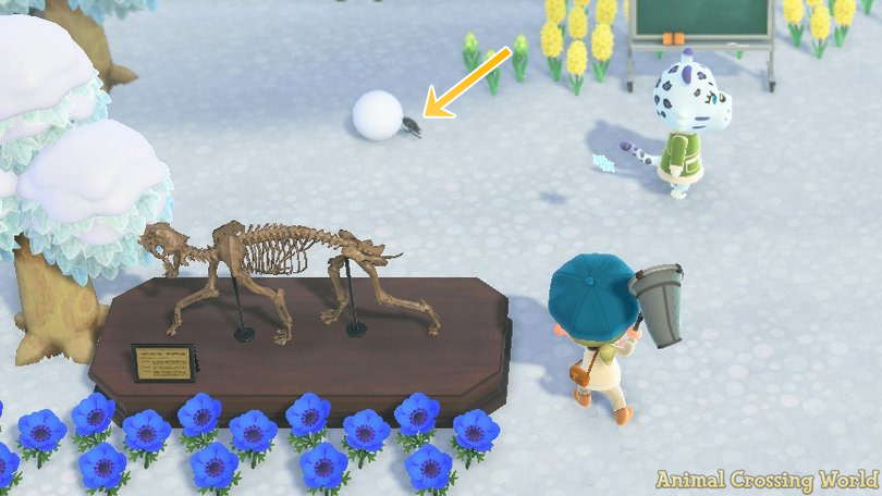 Everything You Need to Know About the Dung Beetle in Animal Crossing