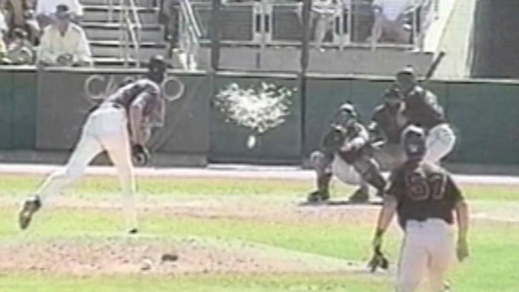 Randy Johnson Hits Bird: The Craziest Pitch Ever Seen