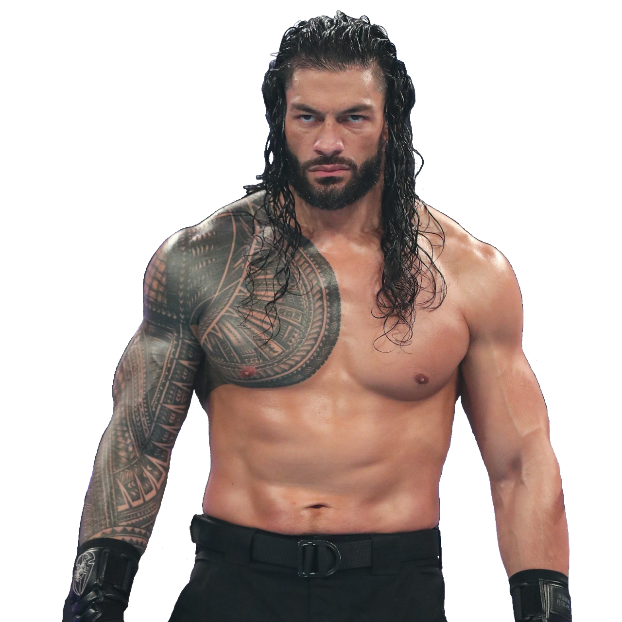 What is Roman Reigns Real Name? Get the Scoop on WWEs Top Dog!