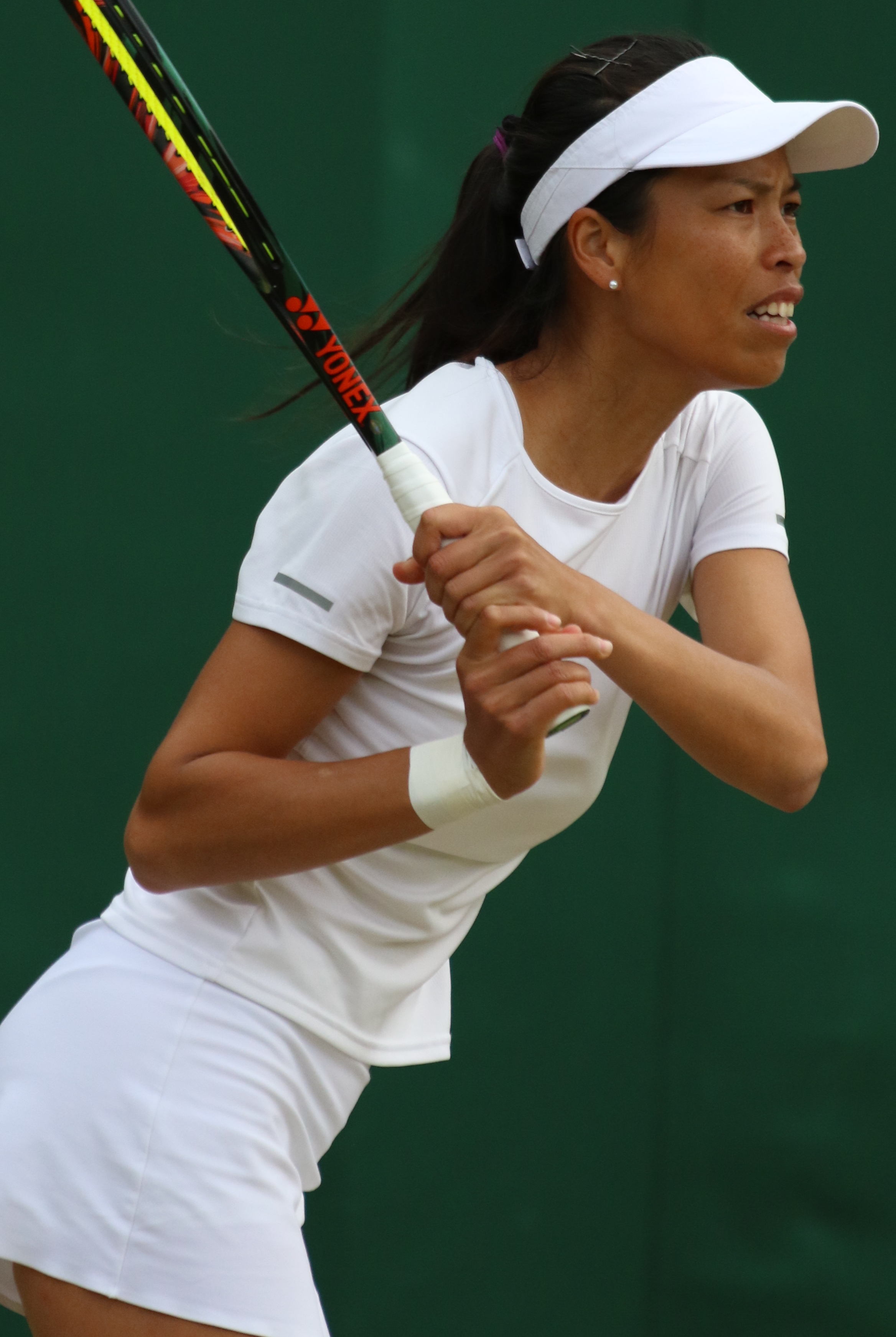 Hsieh Su-Weis Tennis Career: Titles, Triumphs, and Memorable Moments