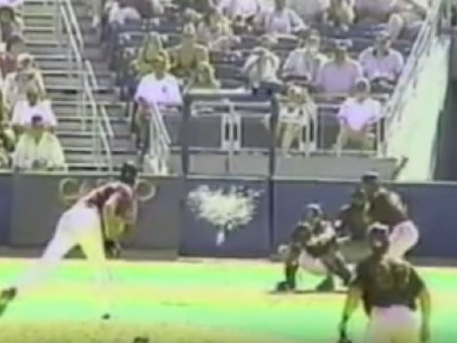 Randy Johnson Hits Bird: The Craziest Pitch Ever Seen