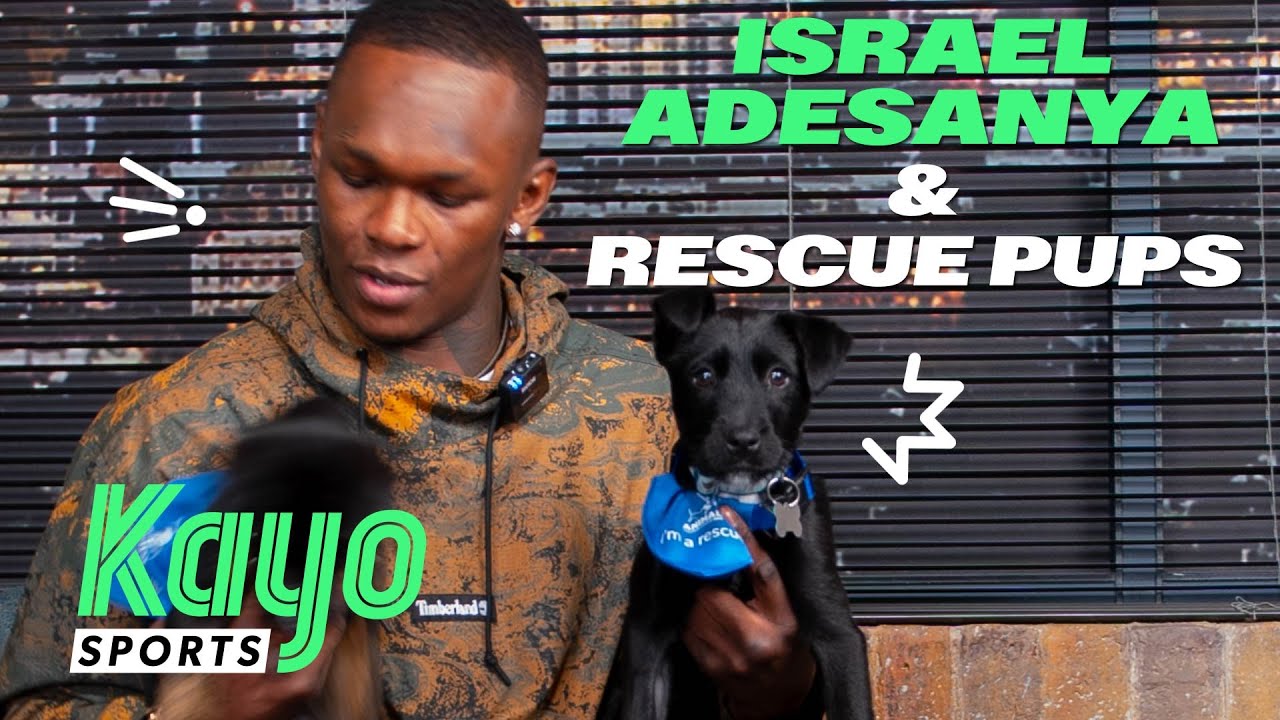 Israel Adesanya Dog: Pictures and Facts About the Champs Loyal Dog!