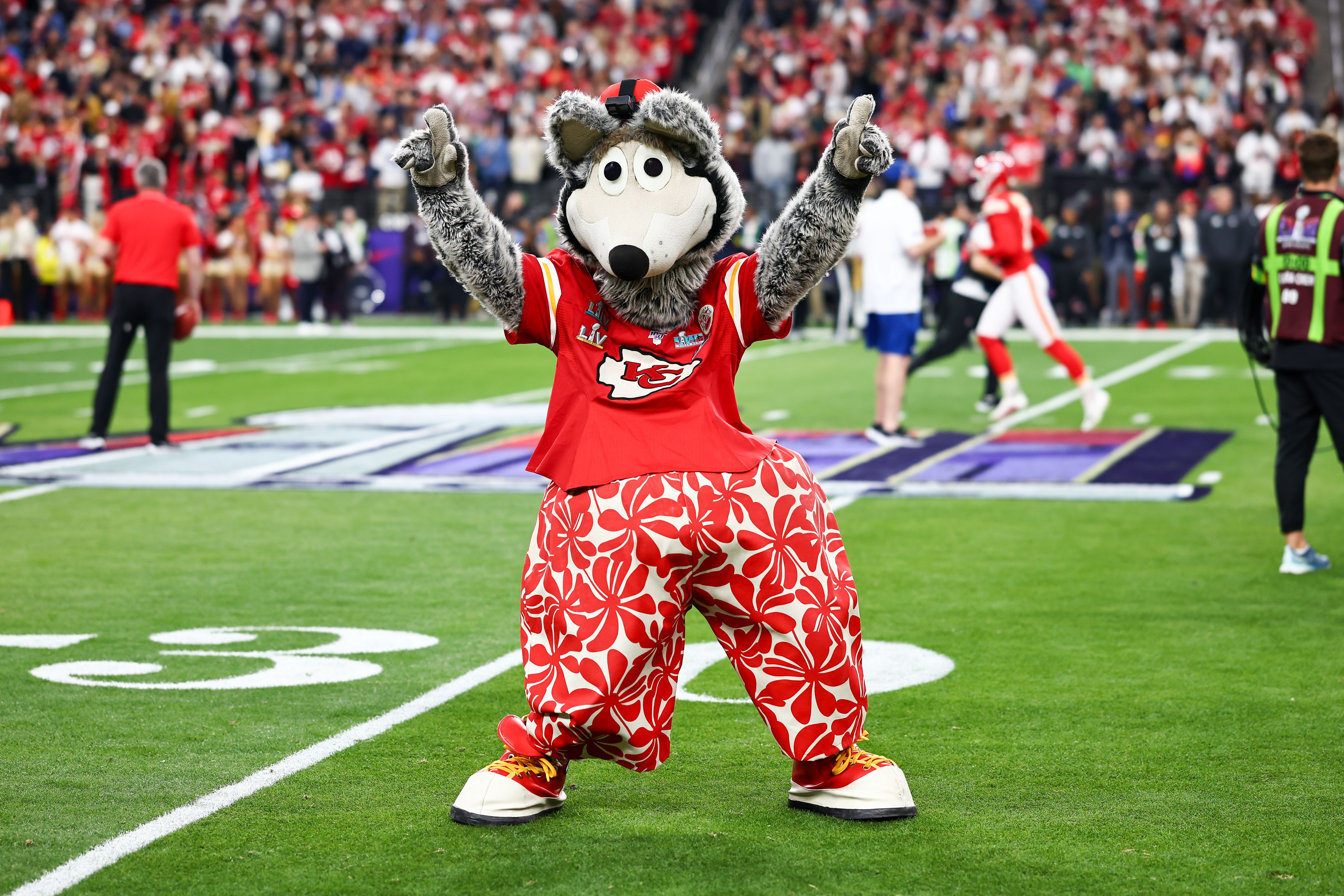 KC Wolf: The Kansas City Chiefs Mascot with a Roaring Personality