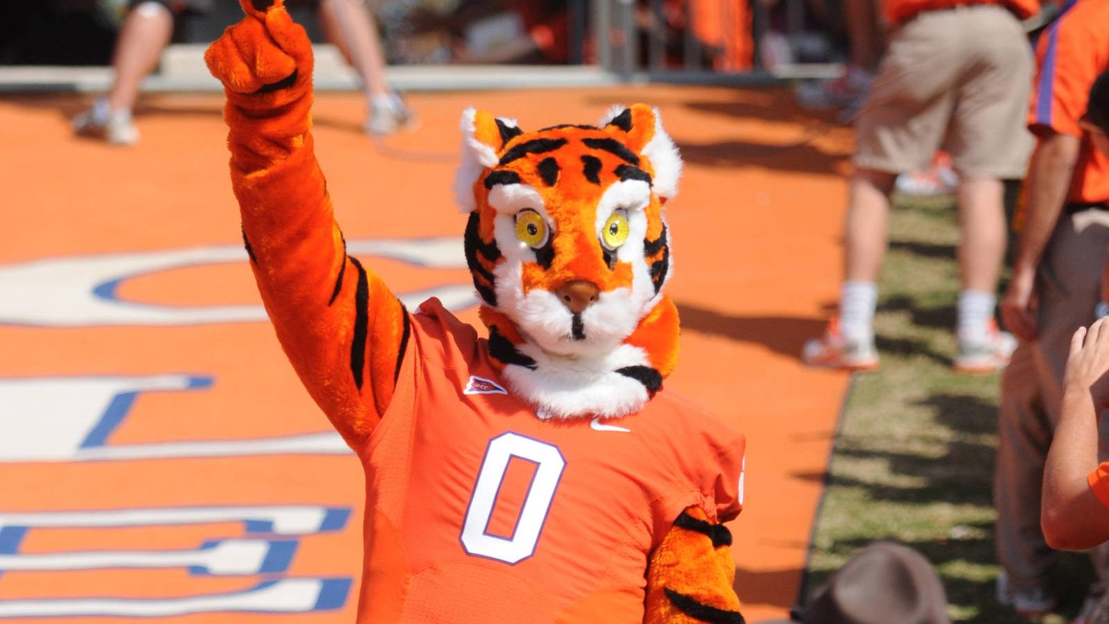 What is the mascot of Clemson University? Meet the beloved mascot!