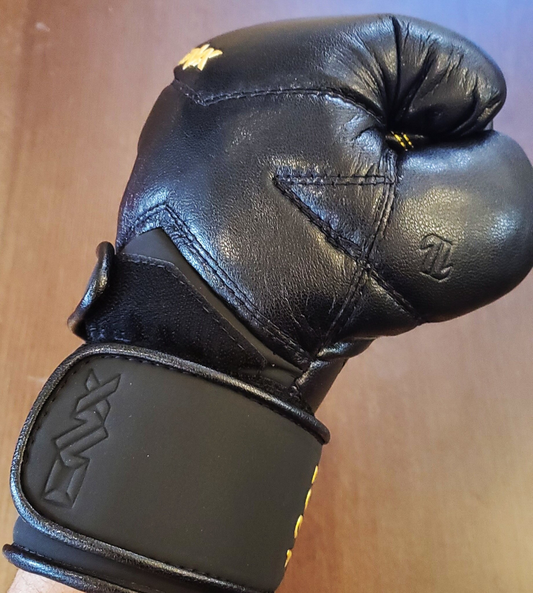 Looking for New Boxing Gear? (Check Out This Review of OnX Gloves)