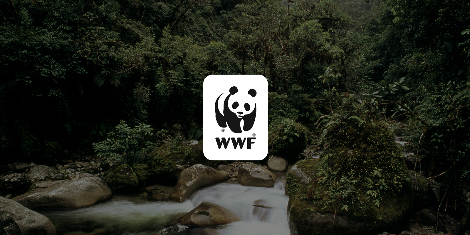 Protecting WWF Sable: Get The Facts. What Is WWF Doing to Help?