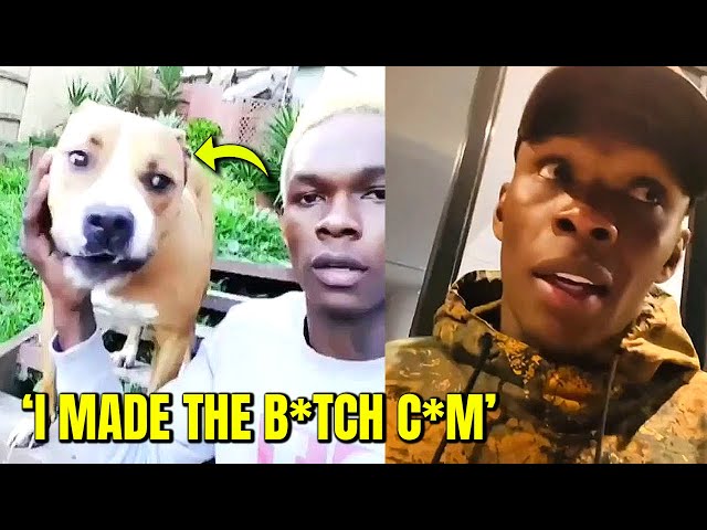 Adesanya Dog: Why Did He Choose It? Discover the Bond Between Fighter and Dog!