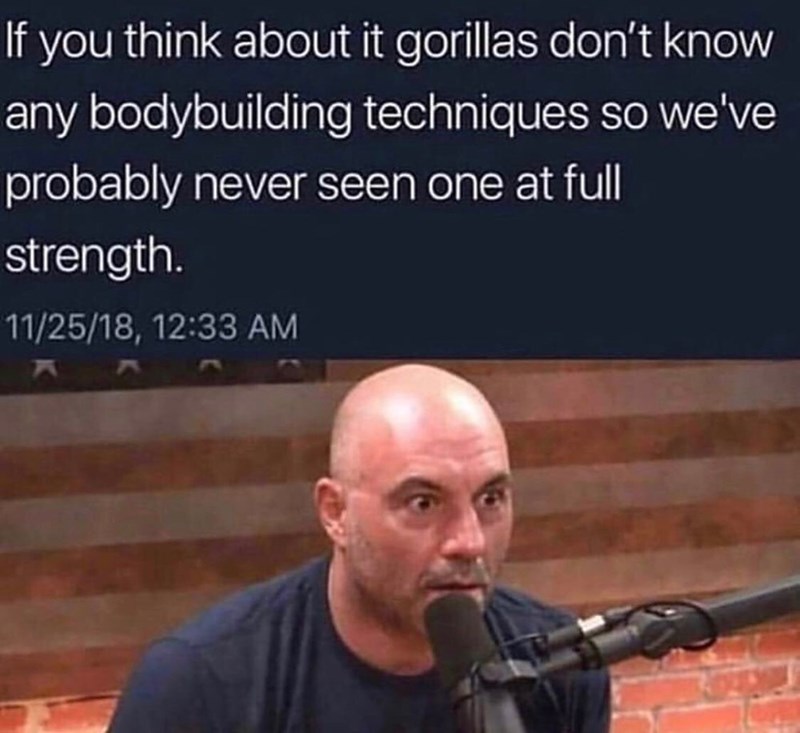 Joe Rogan Meme: Why They Are So Hilarious?