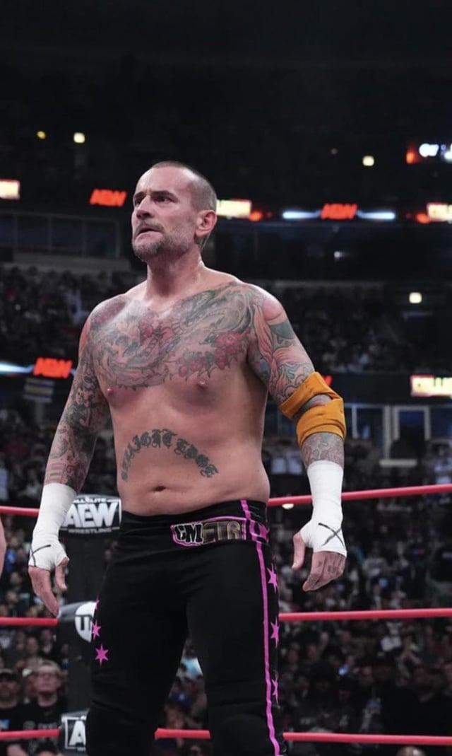 Get strong like cm punk muscles: Here is what you need to know!