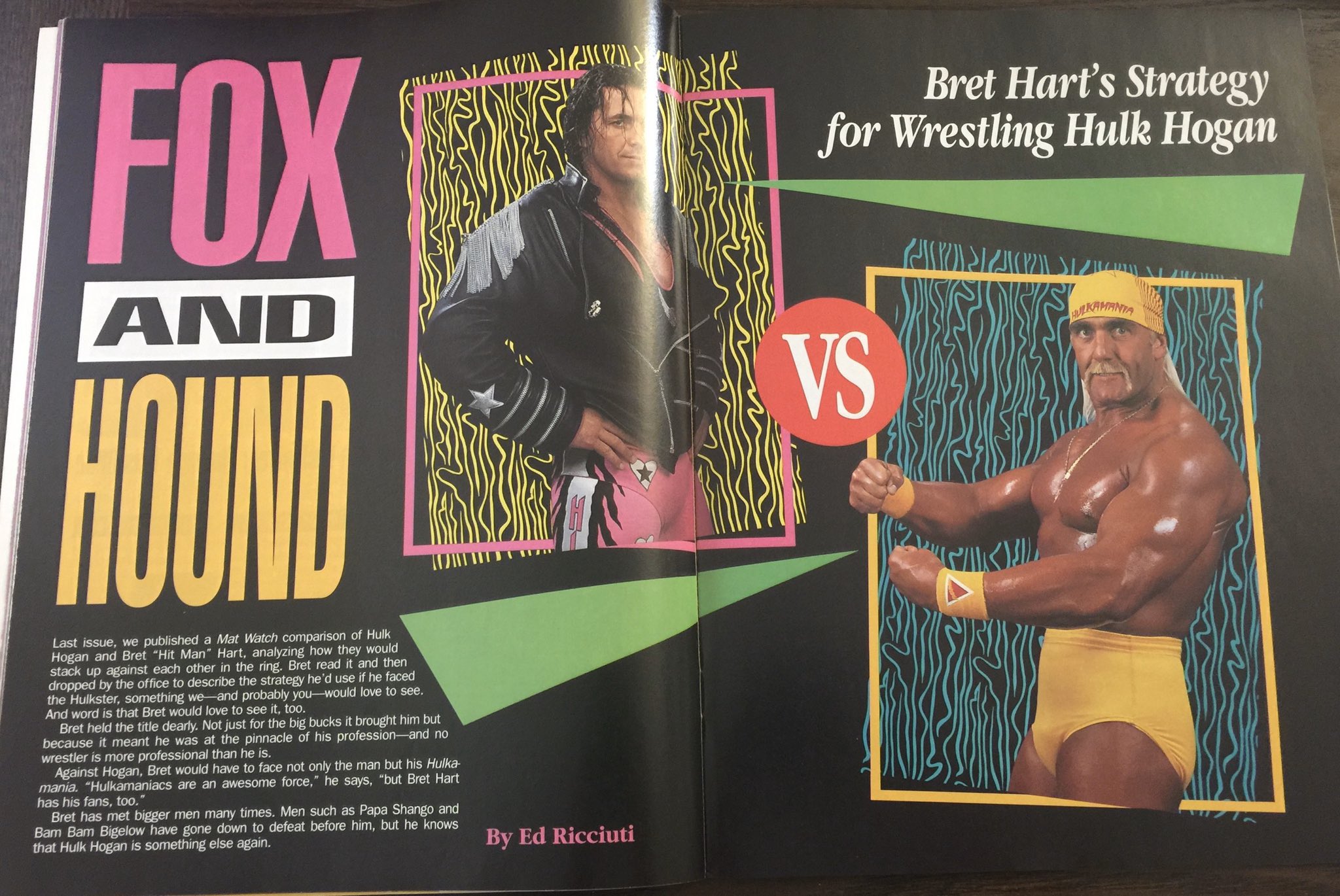 The Untold Story of Bret Hart Hulk Hogan Tug of War: Get the Facts