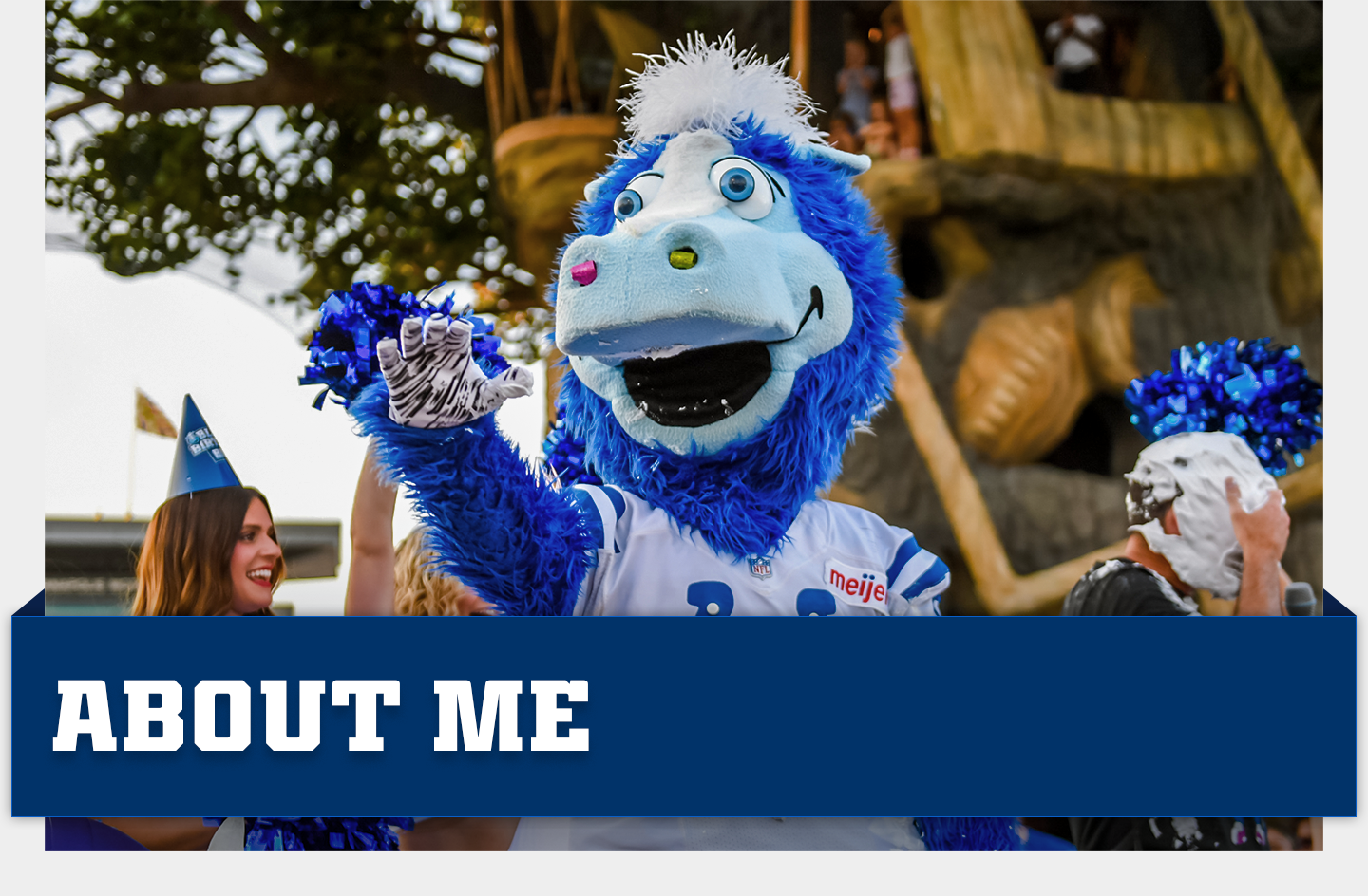 Colts Mascot Rainbow: Discover the Meaning & Fun Facts About It!