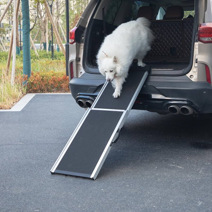 Best Animal Ladder Reviews: Find Safe Climbing Solutions for Your Furry Friend