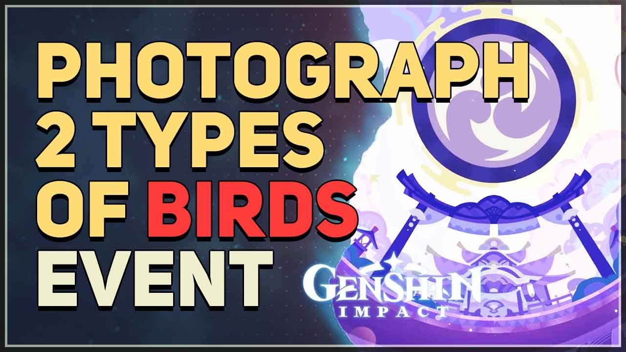 Need to Photograph Two Types of Birds Genshin? See This!